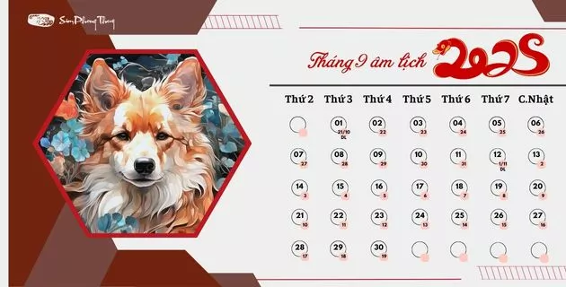 tử vi 2025 theo 12 tháng