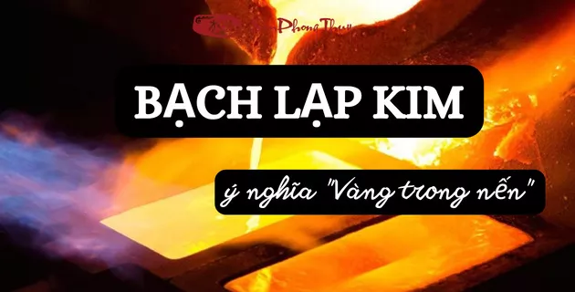 bạch lạp kim