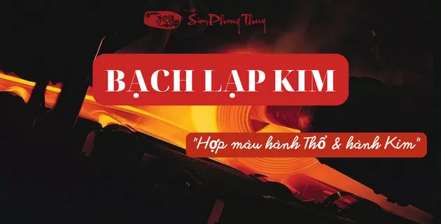 bạch lạp kim