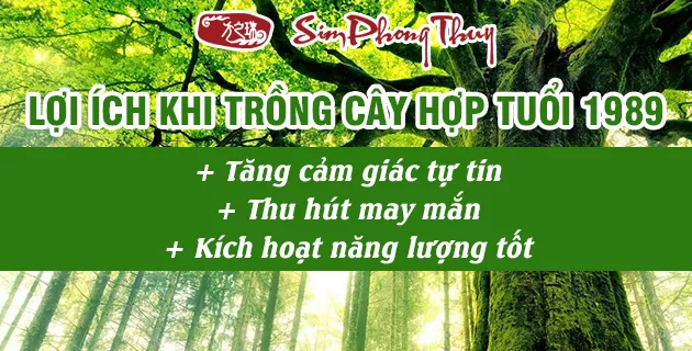 cây hợp tuổi 1991