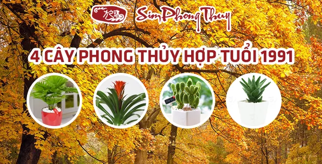 cay hop tuoi 1991 
