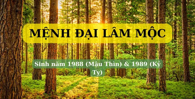 đại lâm mộc