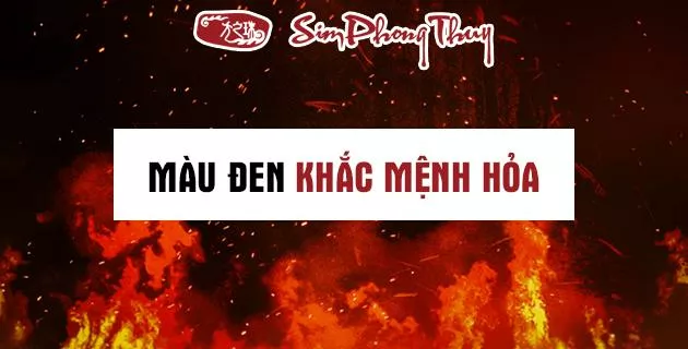 mau den hop menh gi