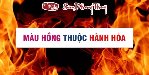 mau hong hop menh gi