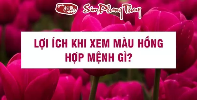 mau hong hop menh gi