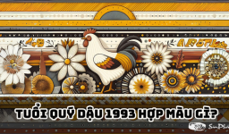 Sinh năm 1993 hợp màu gì? Chọn màu sơn, màu xe hợp phong thủy