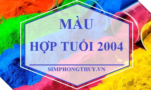 màu hợp tuổi 2004