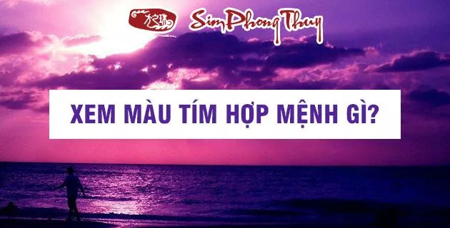 mau tim hop menh gi