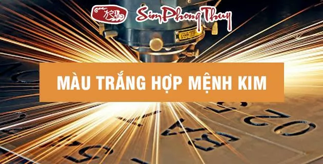 mau trang hop menh gi