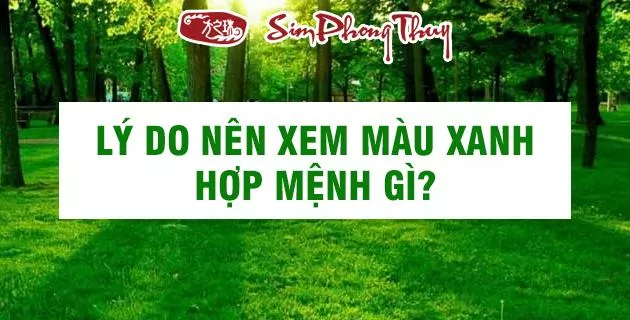 mau xanh hop menh gi