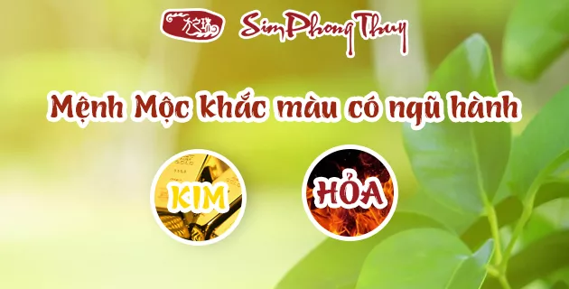 mệnh mộc hợp màu gì