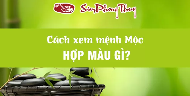 mệnh mộc hợp màu gì