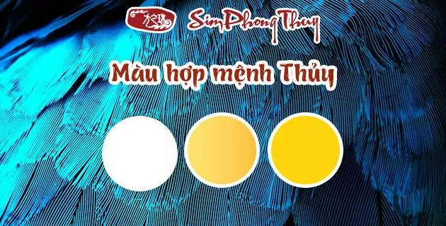 menh thuy hop mau gi