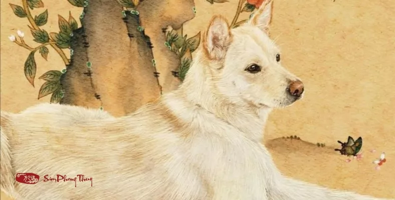 ngày tốt hợp tuổi 1982