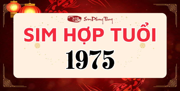 SIM PHONG THỦY HỢP MỆNH THỦY DÀNH CHO NGƯỜI SINH NĂM 1975 TUỔI ẤT MÃO