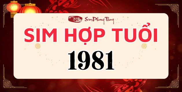 SIM PHONG THỦY TUỔI TÂN DẬU HẤP DẪN MAY MẮN MỖI NGÀY