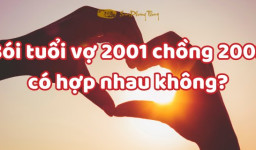 Bói tuổi vợ chồng nam 2002 nữ 2001 có hợp không?