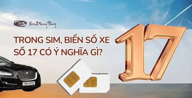 y nghia so 17