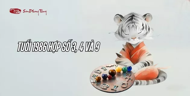 số hợp tuổi 1986