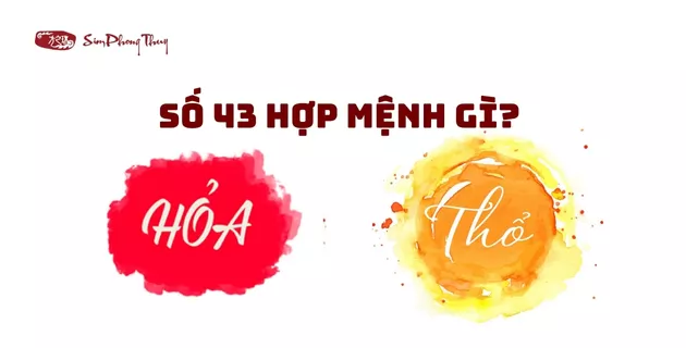 ý nghĩa số 43