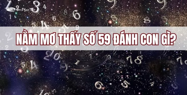 ý nghĩa số 59