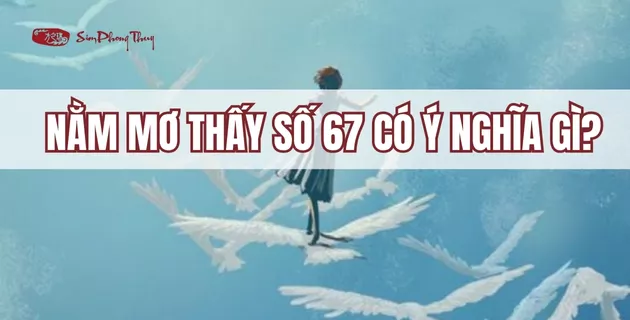 ý nghĩa số 67