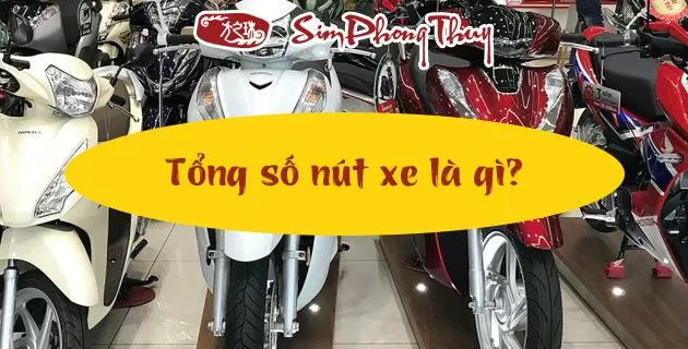 cách tính số nút biển số xe