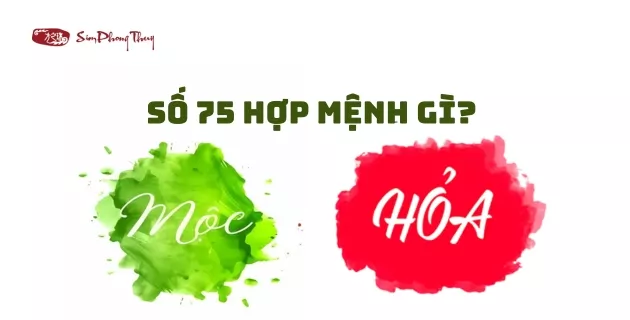 Ý nghĩa số 75
