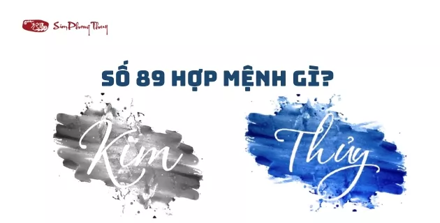 ý nghĩa số 89