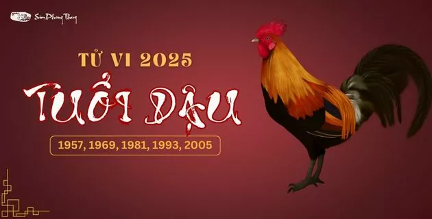tử vi tuổi dậu năm 2025
