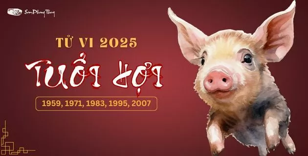 tử vi tuổi hợi năm 2025