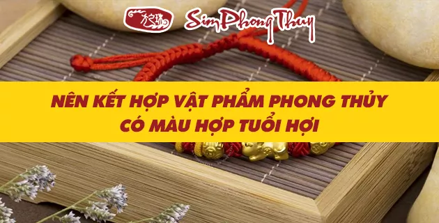 tuoi hoi hop mau gi