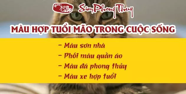 tuoi mao hop mau gi