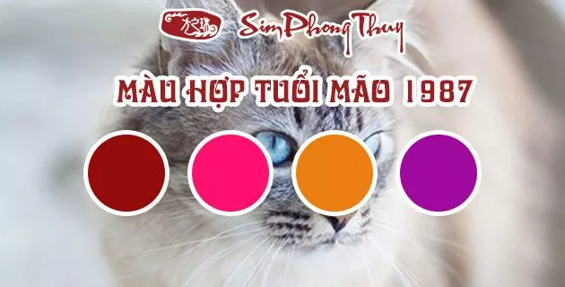 tuoi mao hop mau gi