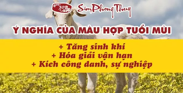 tuoi mui hop mau gi