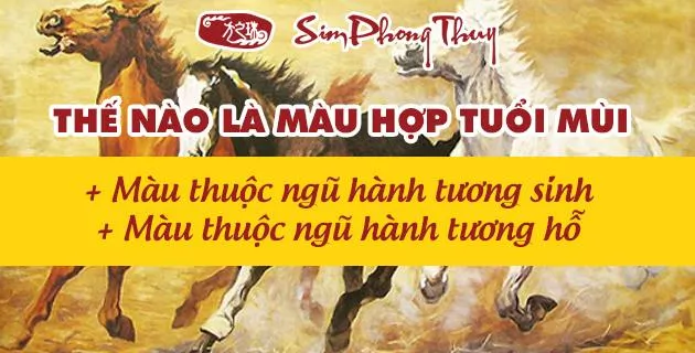 tuoi mui hop mau gi