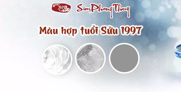 tuoi suu hop mau gi