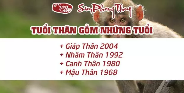 tuoi than hop mau gi