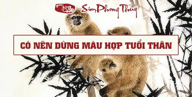 tuoi than hop mau gi