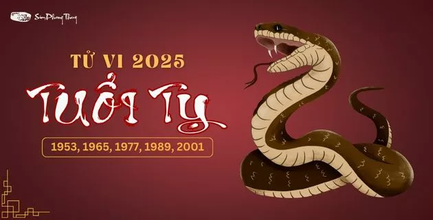 tử vi tuổi tỵ năm 2025