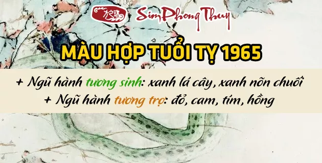 tuoi ti hop mau gi