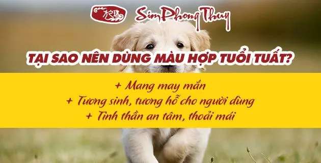 tuoi tuat hop mau gi