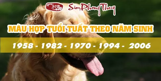 tuoi tuat hop mau gi