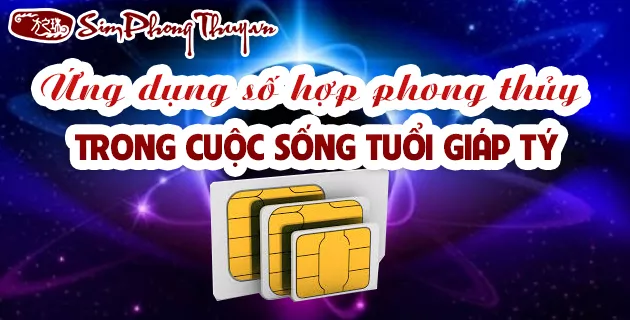 Cách ứng dụng số hợp tuổi 1984