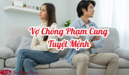 Sự thật vợ chồng phạm cung Tuyệt Mệnh có chết không?