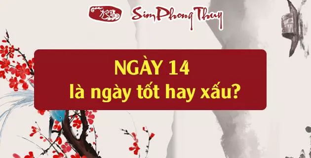ý nghĩa số 14