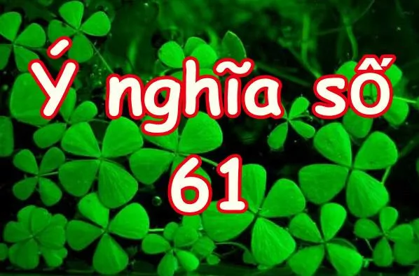 ý nghĩa số 61