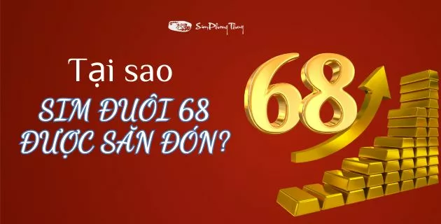 ý nghĩa số 68
