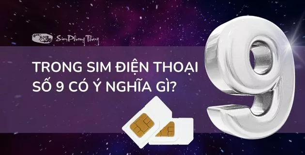 ý nghĩa số 9